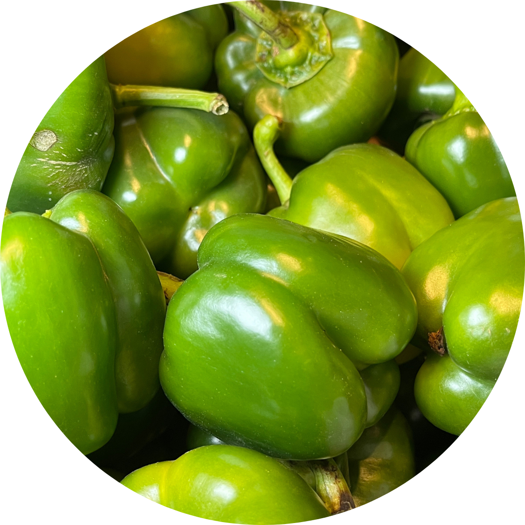 Green Bell (Capsicum) Pepper