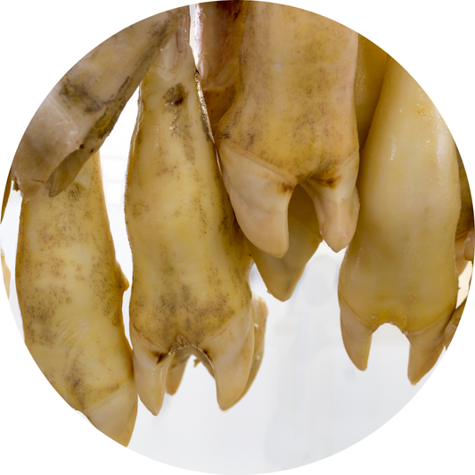 Cow Foot