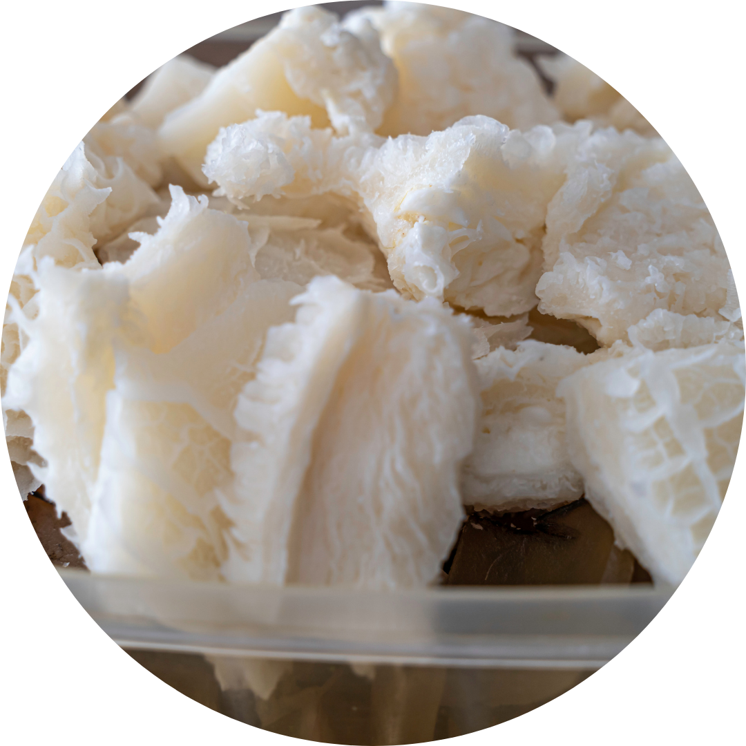Honeycomb
